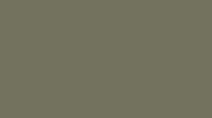 MC secondary accent color, dark olive green