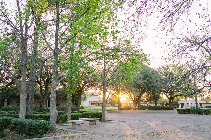 Picture of the campus at sunrise