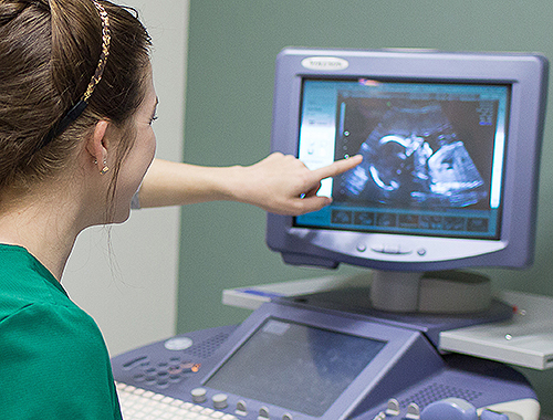 Student reviewing a sonogram image on a computer monitor