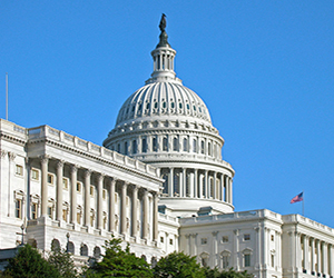 United States Capitol in Washington, D.C.