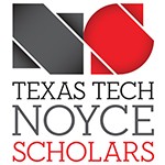 Noyce Scholars Program