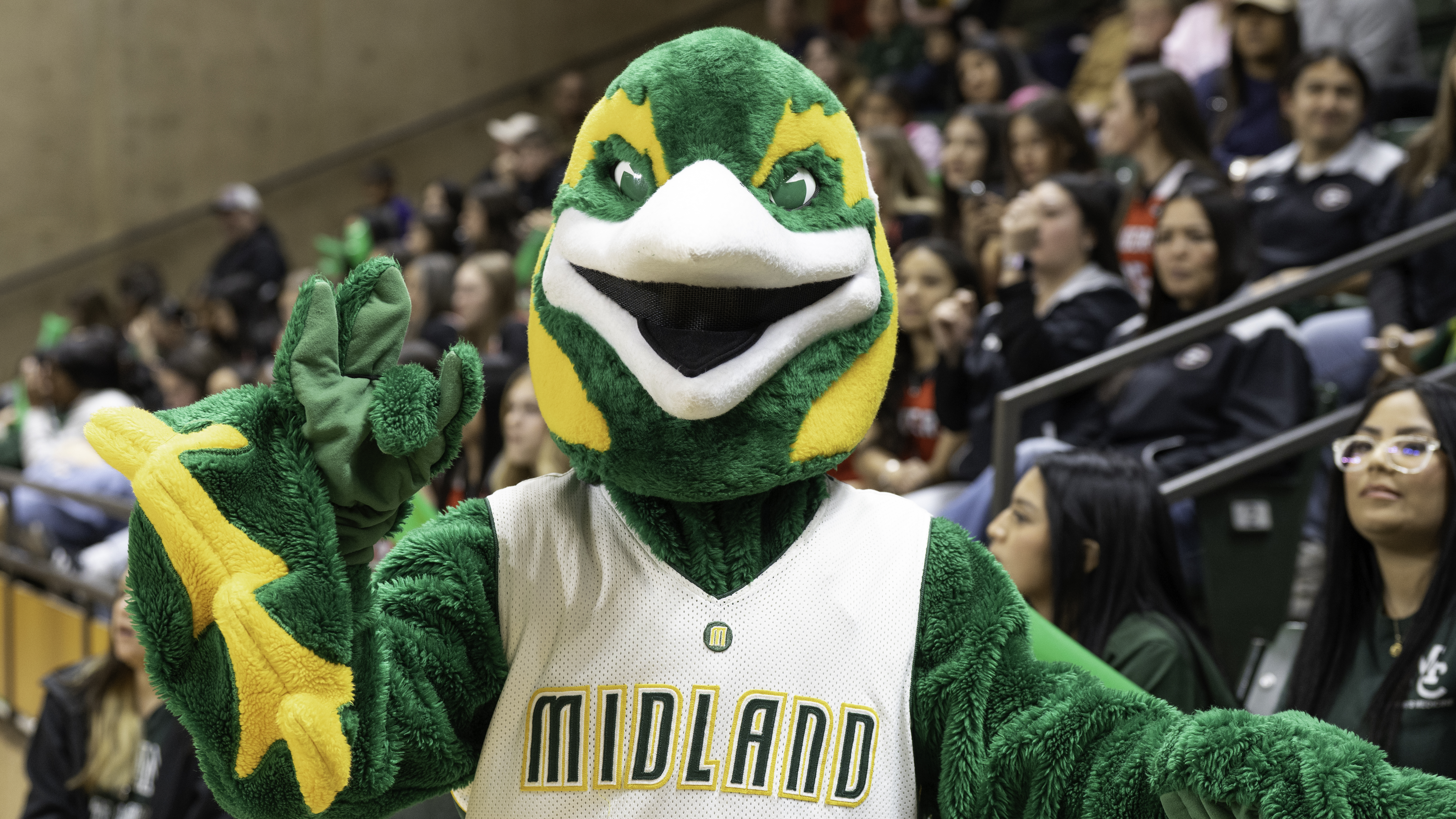 Midland College's mascot Pepe at a MC basketball game