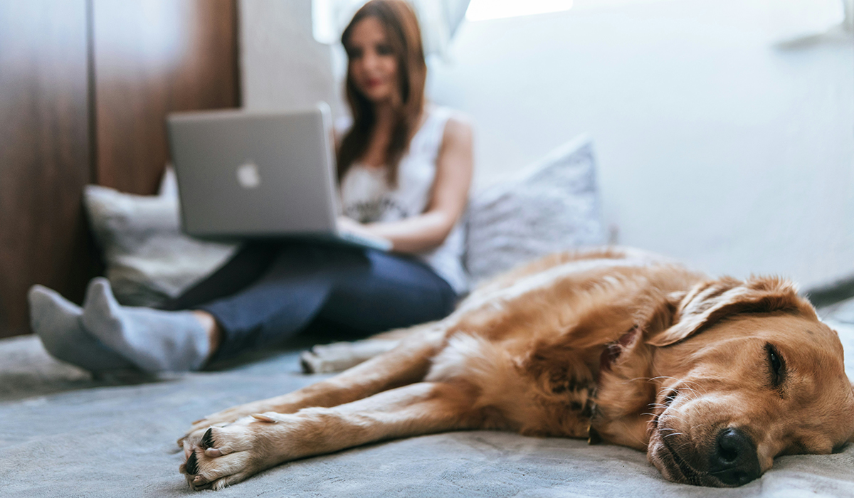 student with sleeping dog