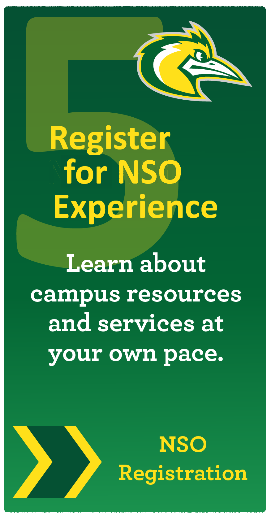 register for NSO Virtual Experience