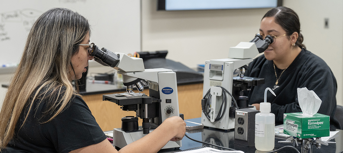 Students looking into microscopes